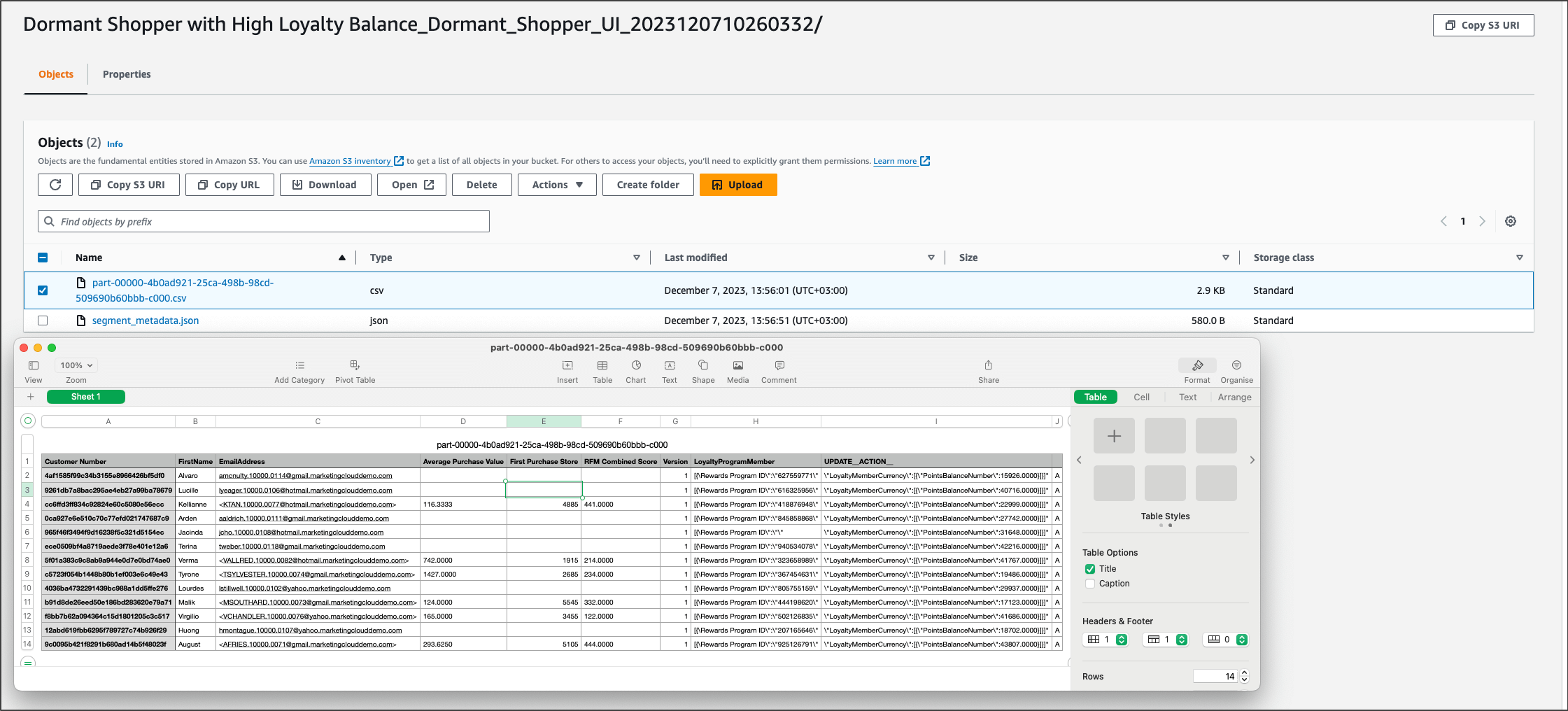 Segment Activation in Salesforce Data Cloud