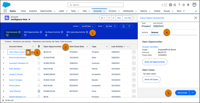 Intelligence View for Account, Contact, and Lead in Salesforce Spring '24 Release