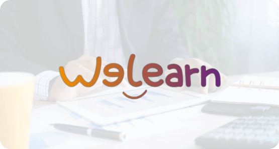 WeLearn: Custom Financial Report Generation in XLS